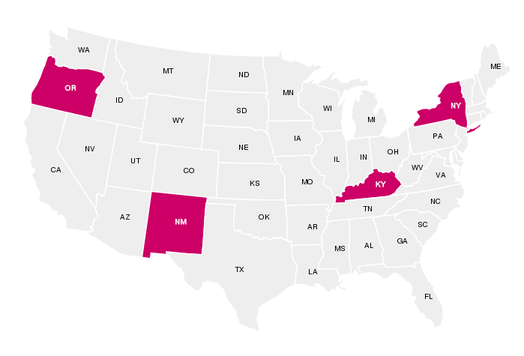 PDL Business Services